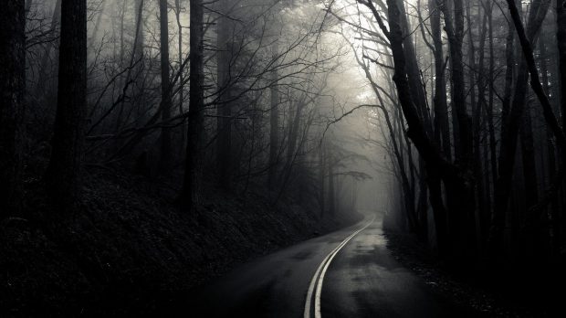https://wallpaperaccess.com/dark-forest-road-hd-large