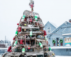 https://www.thedailybeast.com/new-englands-crazy-christmas-tree-tradition