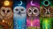 https://www.wallpaperflare.com/seasons-moon-owl-autumn-winter-spring-summer-moon-phases-wallpaper-ozrt